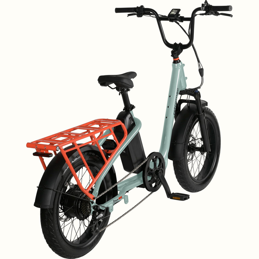 Electric Cargo Bike Errands: Front-Loader vs. Longtail, Kids/Pets, Storage