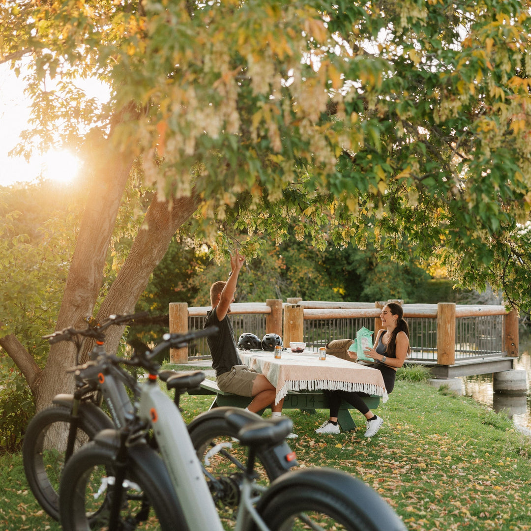 retrospec ebike parked in a sunlit park while a couple relaxes at a picnic table near a wooden bridge.