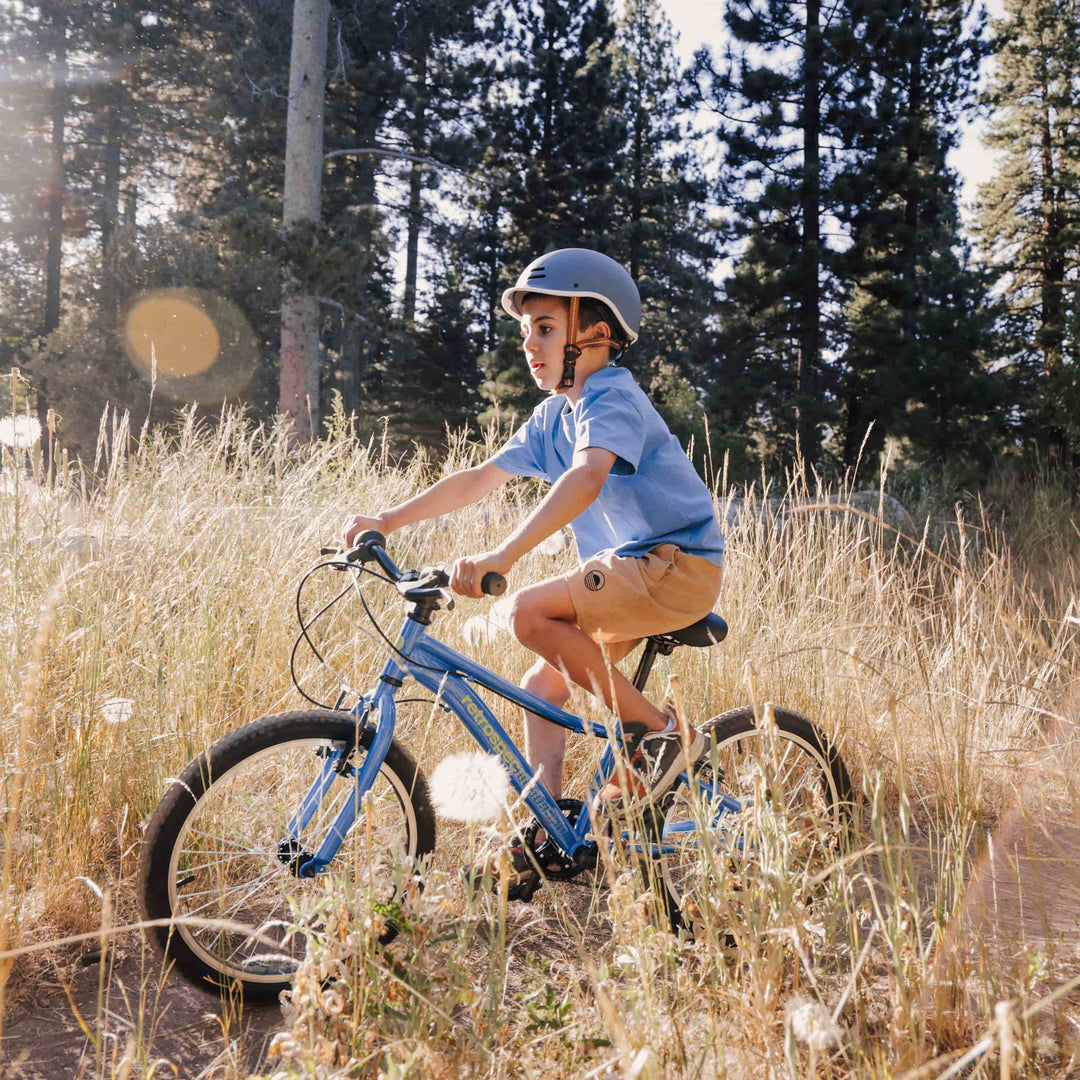 Child wearing a helmet rides a blue bicycle through a grassy field with pine trees in the background.