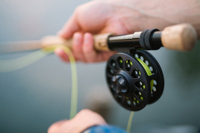 Paddleboard Fishing 101: The Art of Dock Light Fly Fishing from an iSUP