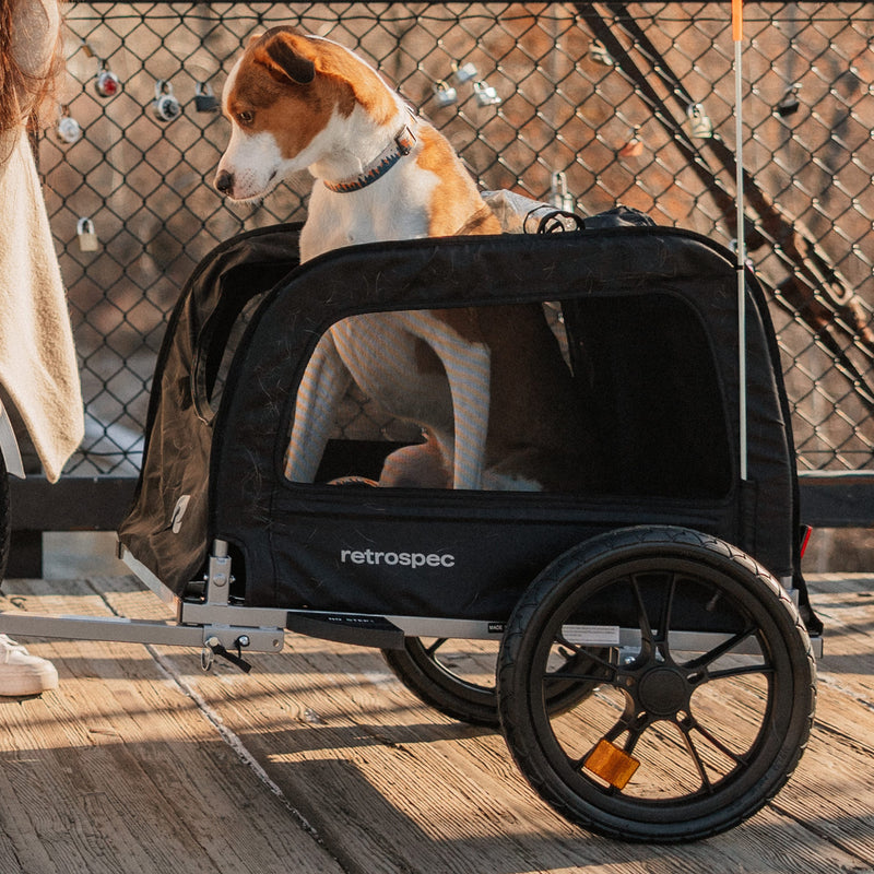 dog stroller trailer Rover Waggin' Pet Bike Trailer