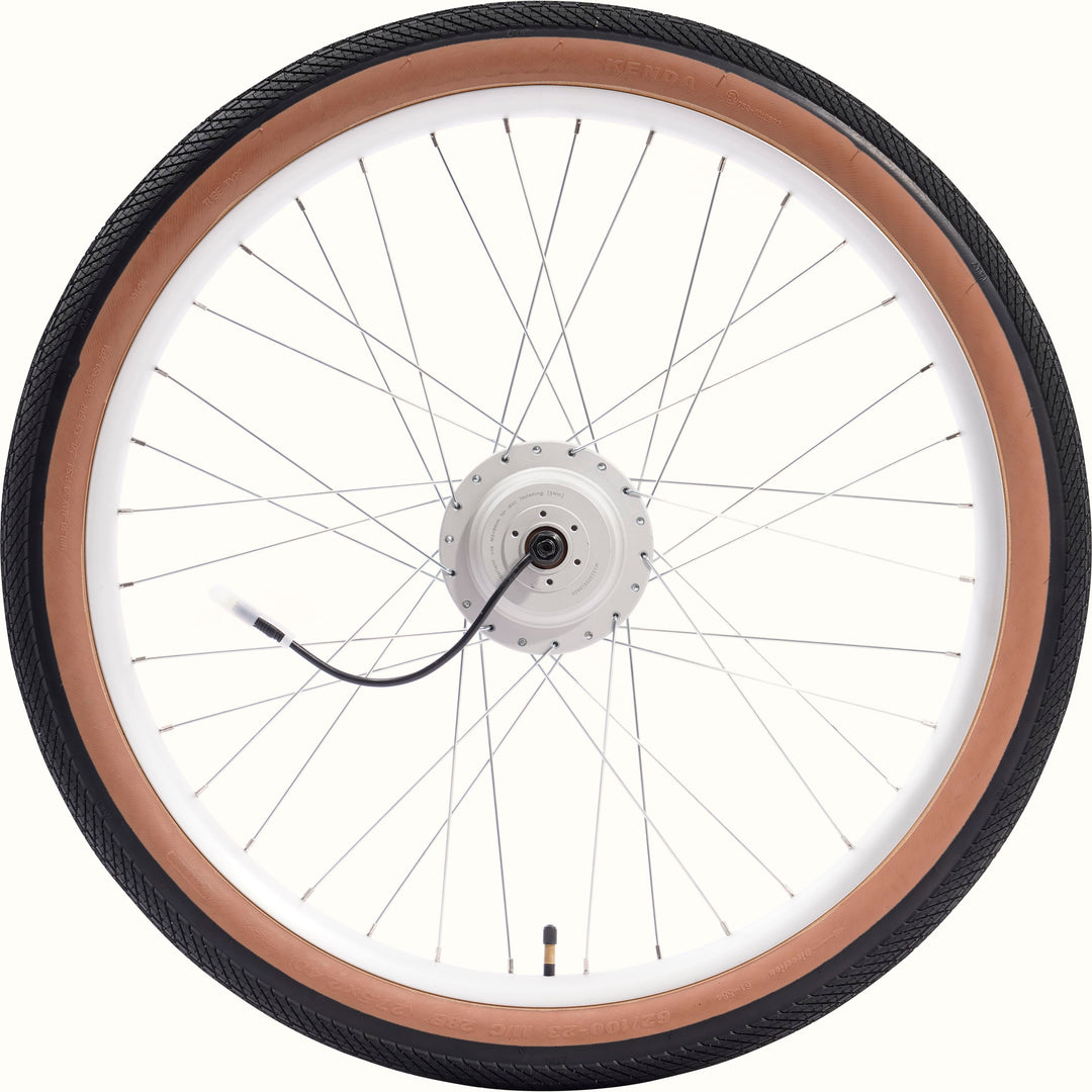 Bicycle wheel with brown sidewall and black tire on a white background.
