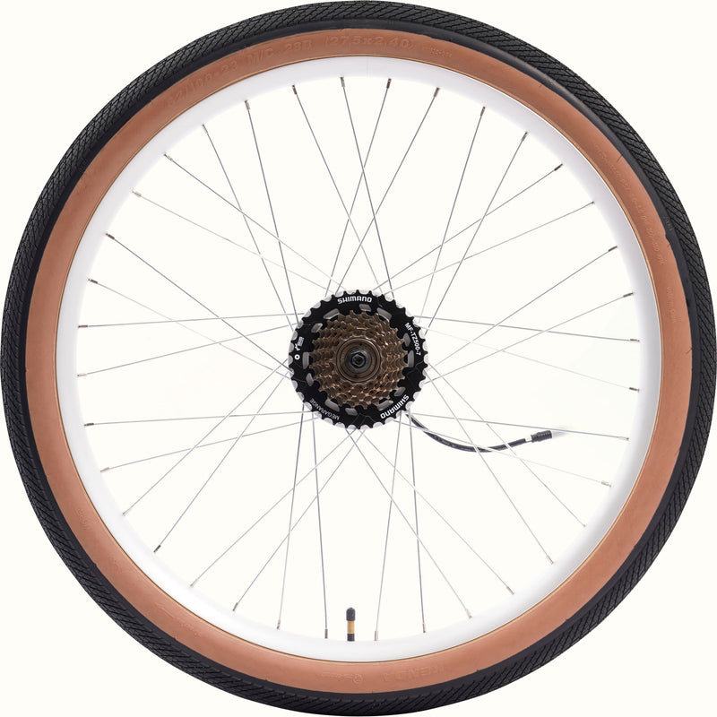 Bicycle wheel with brown sidewall and black tire on a white background.