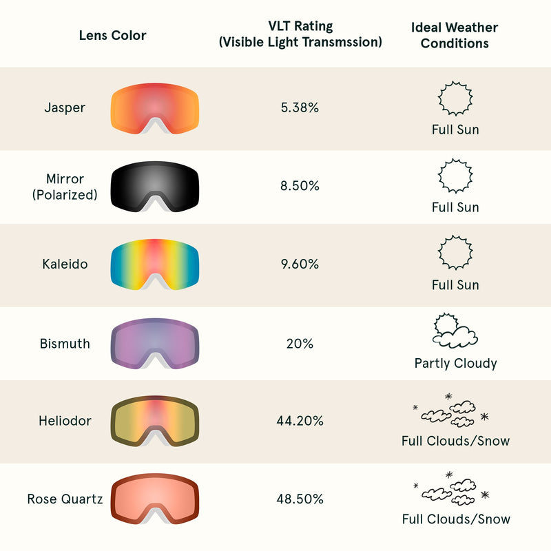 Flume Ski & Snowboard Goggles