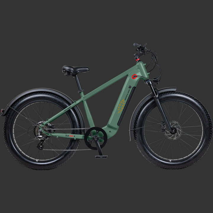 A green Grateful Dead Koa Rev+ 2 Fat Tire Electric Bike with wide tires, a sturdy frame, and a sleek design featuring iconic artwork such as "Steal Your Face" Grateful Dead lightening bolt, ideal for both urban and off-road riding.