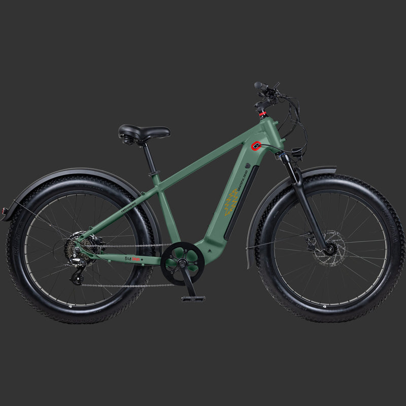 A green Grateful Dead Koa Rev+ 2 Fat Tire Electric Bike with wide tires, a sturdy frame, and a sleek design featuring iconic artwork such as "Steal Your Face" Grateful Dead lightening bolt, ideal for both urban and off-road riding.