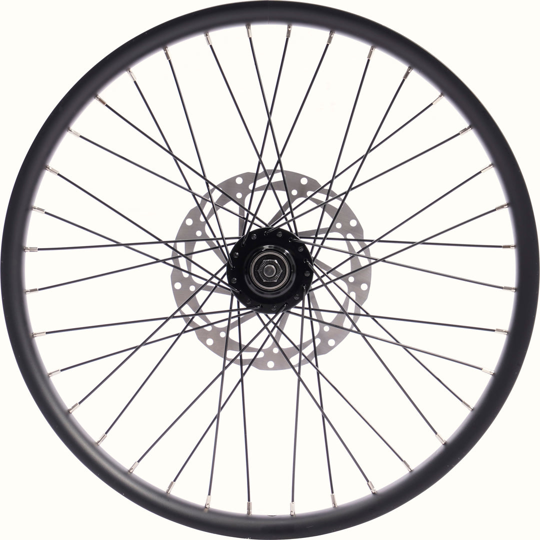 Bicycle wheel with black rim and hub on a white background.