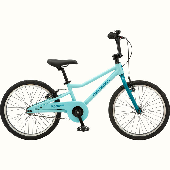 A Robin's Egg Blue Koda Plus 20" Kids' Bike with blue chain guard and black wheels.