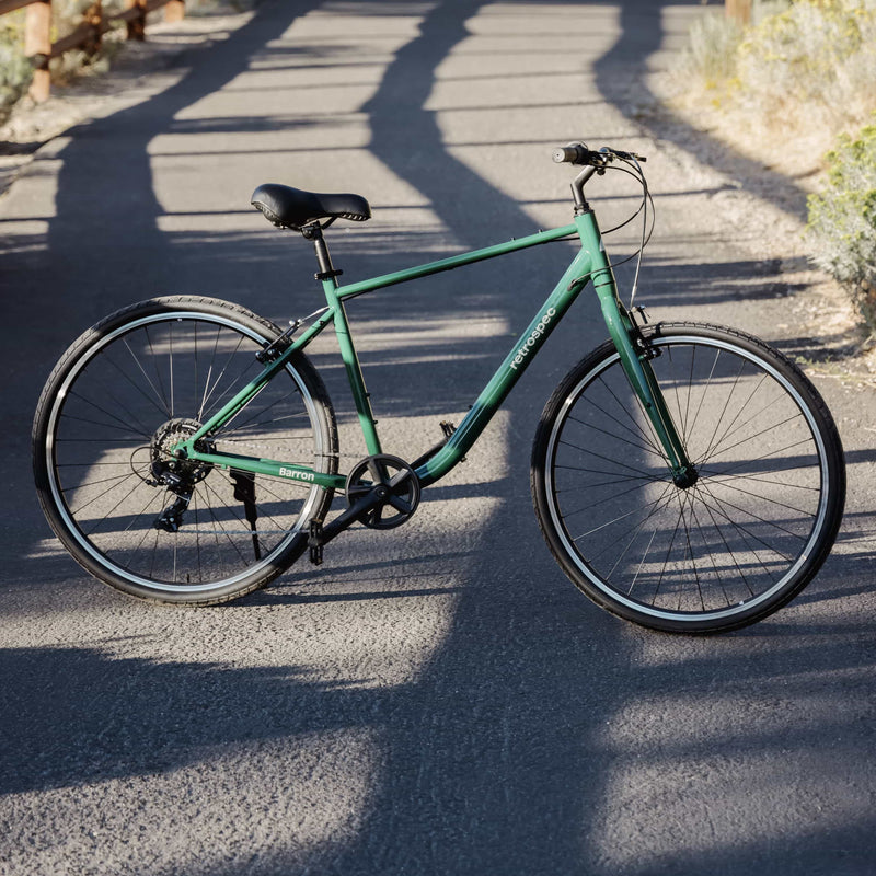 Barron Comfort Hybrid Bike Speed retrospec