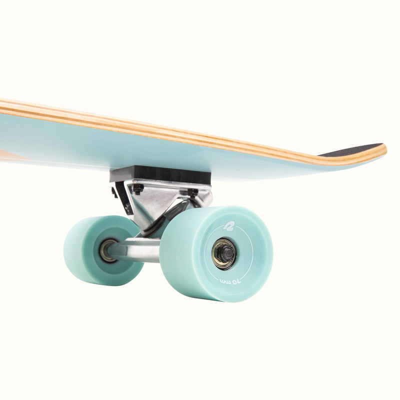 Zed Longboard | Aqua Fishtail