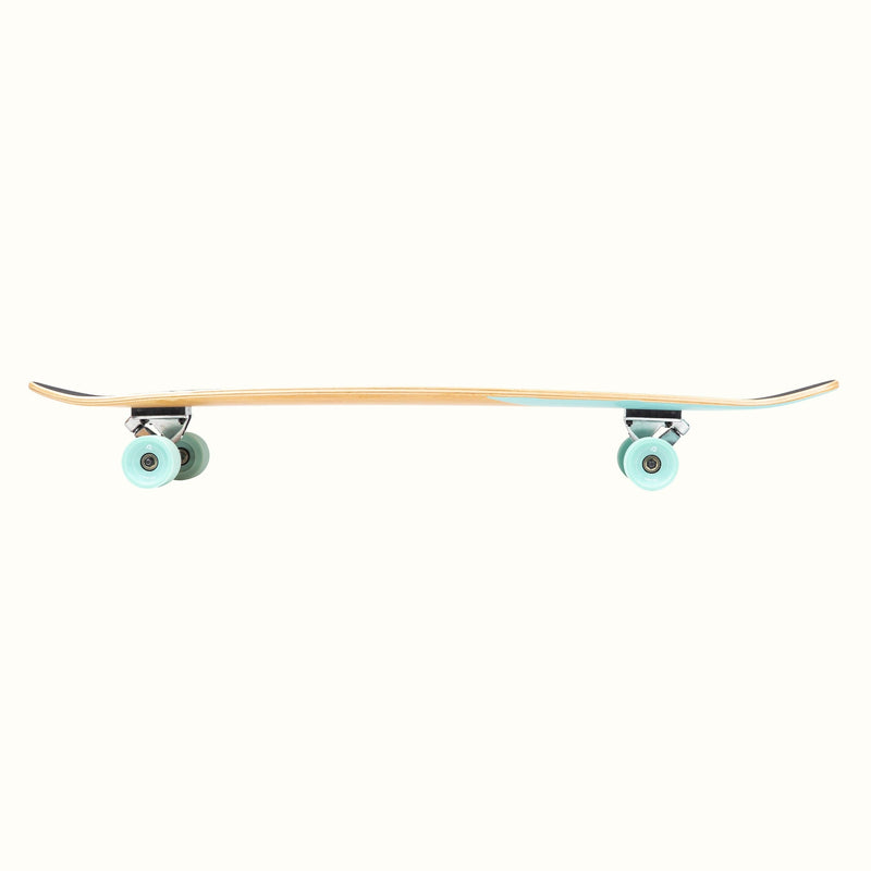 Zed Longboard | Aqua Fishtail