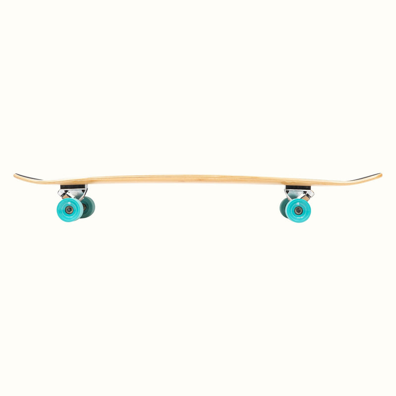 Zed Longboard | Aqua Pipeline