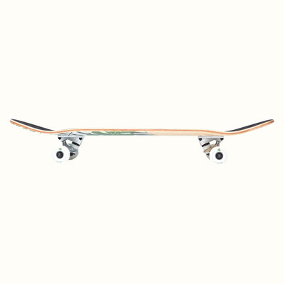 Alameda Skateboard Malibu Palm | Malibu Palm