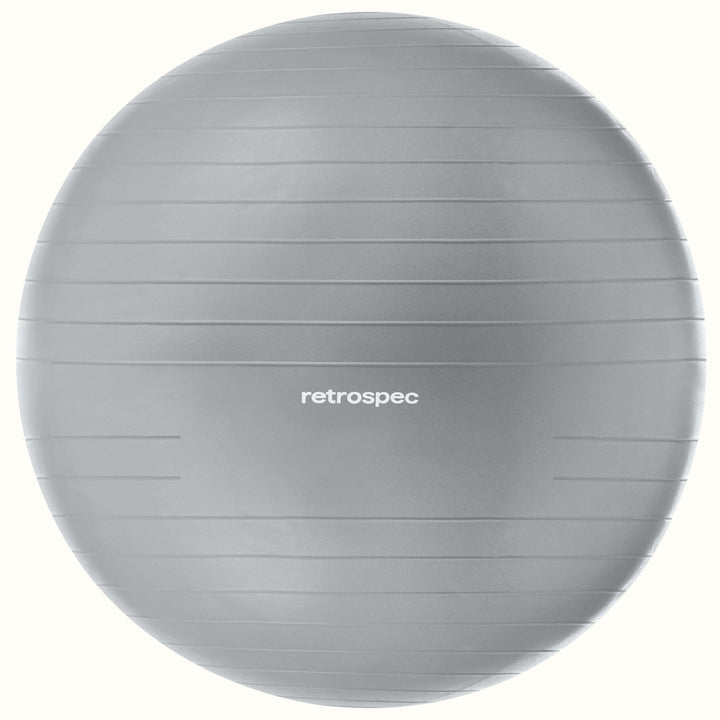 Luna Exercise Ball | Fossil Gray Ball and Base 65cm