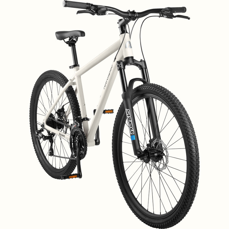 Ascent Mountain Bike retrospec - Main Image