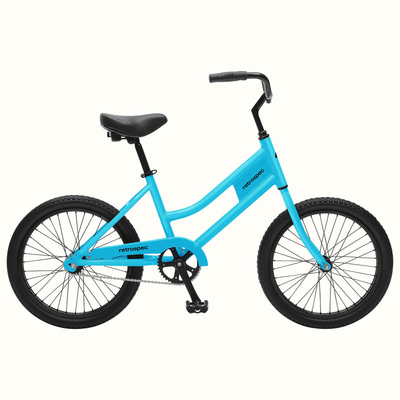 Charter Rental Bike 20" | Pacific Blue